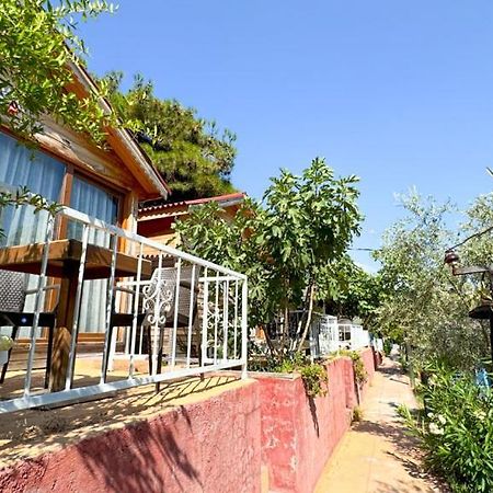 مبيت وإفطار Ayvalı Gaia Bungalow المظهر الخارجي الصورة