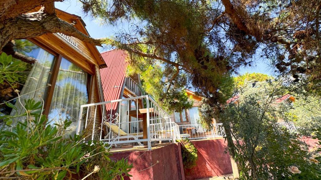 مبيت وإفطار Ayvalı Gaia Bungalow المظهر الخارجي الصورة